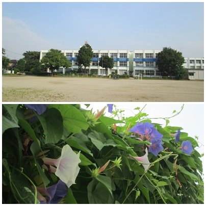 2012055.jpg