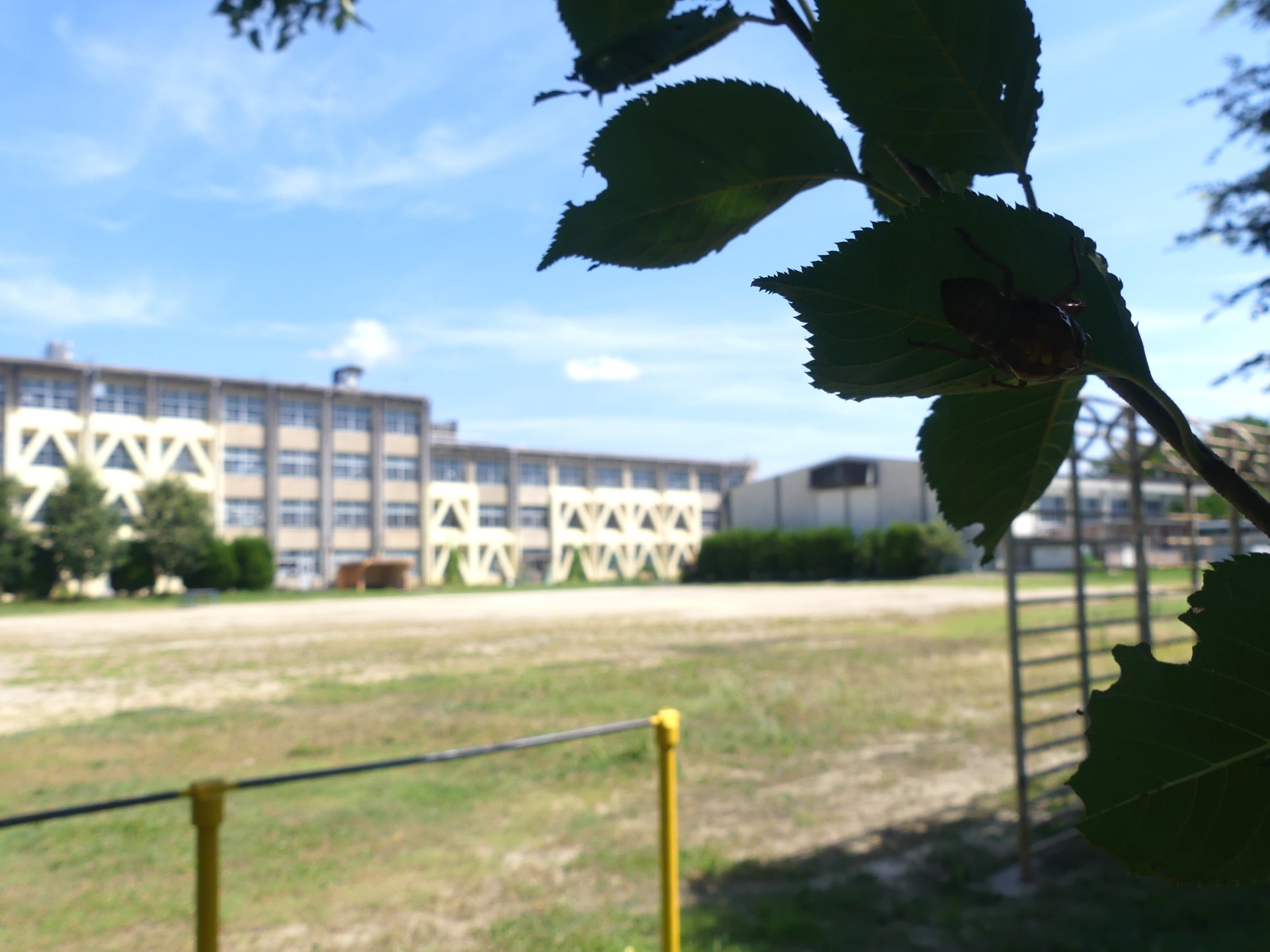 P1210770.JPG